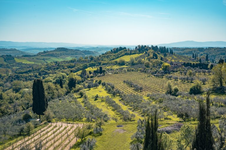 Sosta Francigena Restaurant San Gimignano Poggio ai Laghi 7