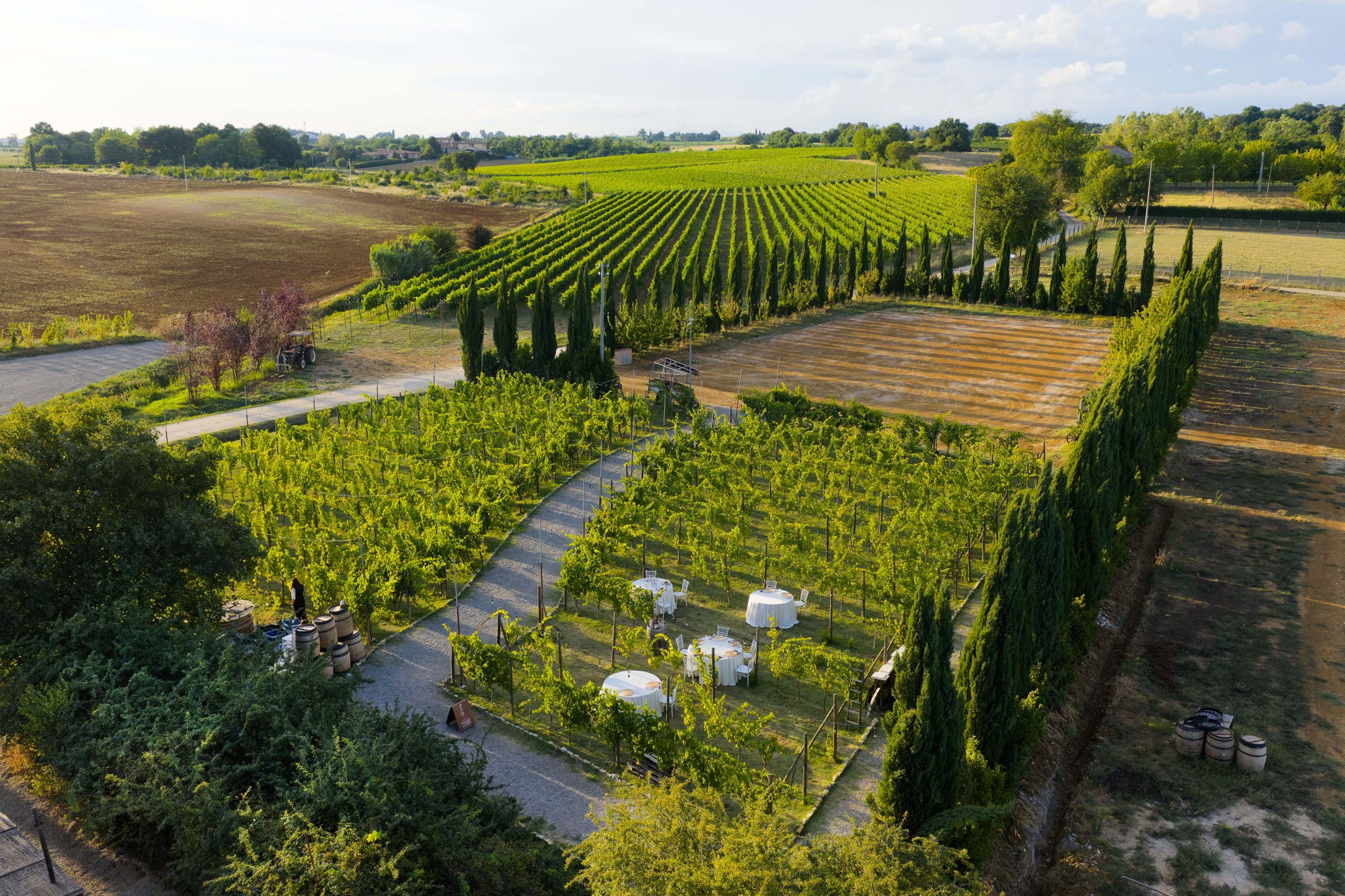 Poggio ai Laghi – vigneto e sede principale
