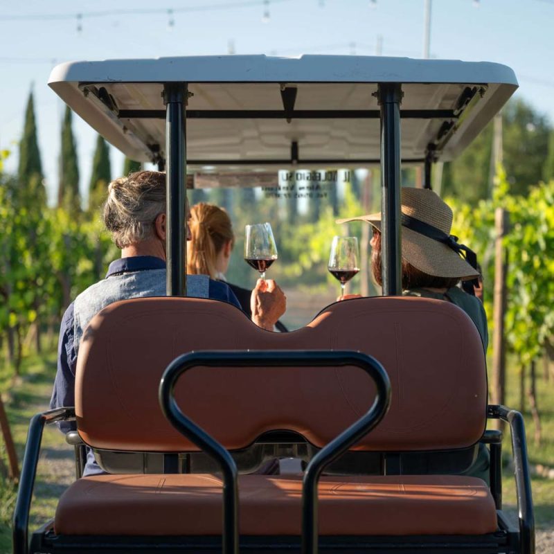 Golf-Cart-Lux
