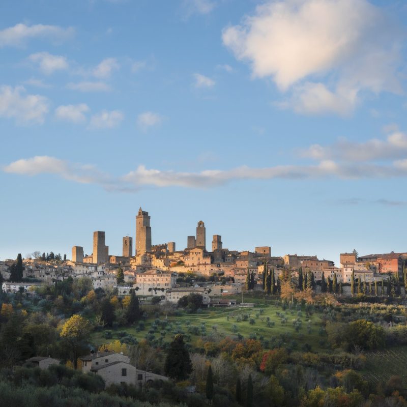 San Gimignano Terrace Private Lunch dinner poggio ai laghi