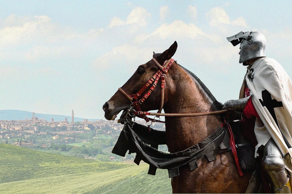 cavallo bianco